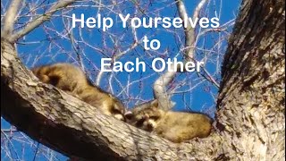 Help Yourselves to Each Other