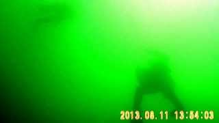 als een visje in het water