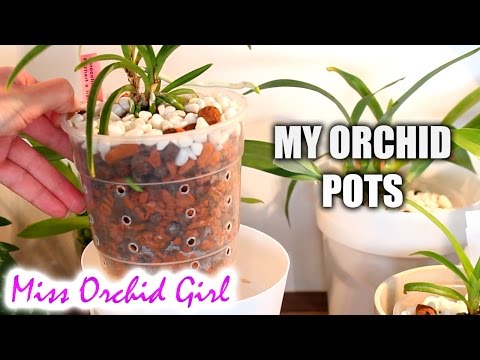 Orchid pots and containers | Orchid setup explained Video