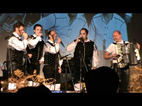 Modrijani in Petka na Zavriskaj muzikant.MPG
