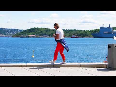 RFA Lyme Bay (L3007)