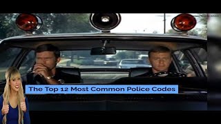 12 Most Common Police Codes 🚓[And What They Mean]