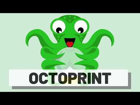 Come installare Octoprint per controllare la stampante 3D da remoto - Raspberry Pi 4