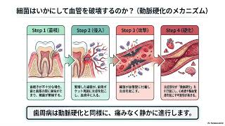 【生活習慣改善】歯と口の健康202606
