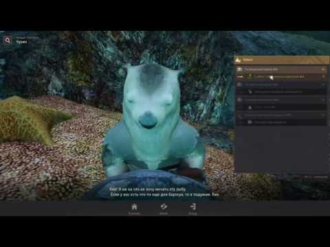 разноцветный кусочек коралла бдо. бдо кораллы. разноцветный коралл бдо. разноцветный кусочек коралла бдо. Black desert око окиллу.