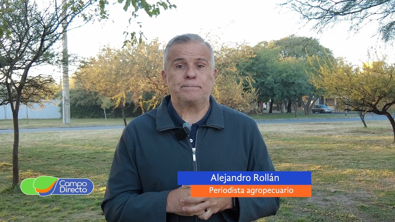 Campo Directo | Córdoba | Los alquileres rurales bajan el promedio a 11,5 qq/ha