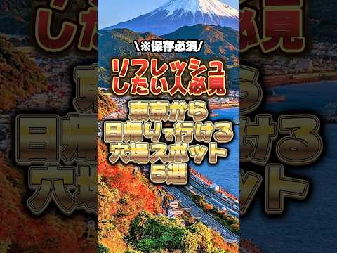 東京から日帰りで行ける穴場スポット#東京 #日帰り #観光 #穴場 #絶景