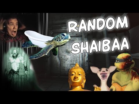 RANDOM SHAIBAA! (Kollaasi)