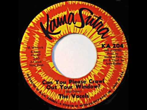 The Vacels / Can You Please Crawl Out Your Window