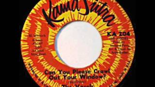 The Vacels / Can You Please Crawl Out Your Window