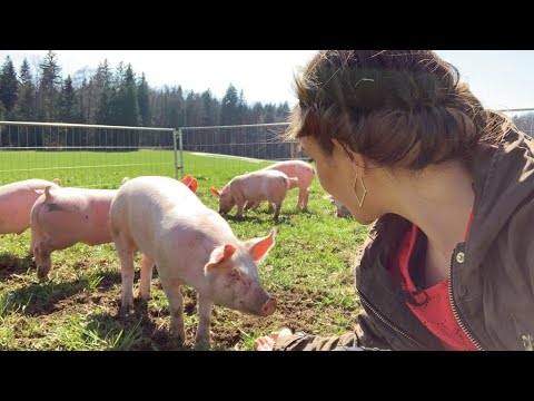 Genusstagebuch #18 mit Georg Maier - Das grüne Hotel zur Post