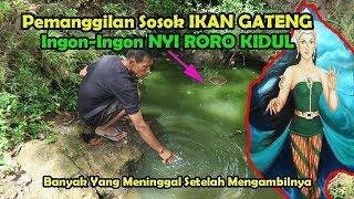 Download lagu Fakta Mistis !! Ikan GATENG Peliharaan NYI RORO KIDUL, Tidak Ada Yang Berani Mengambil. mp3 Download lagu Fakta Mistis !! Ikan GATENG Peliharaan NYI RORO KIDUL, Tidak Ada Yang Berani Mengambil. mp3
