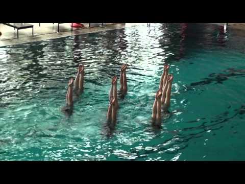 Technisch Team 2 SKF Zwevegem