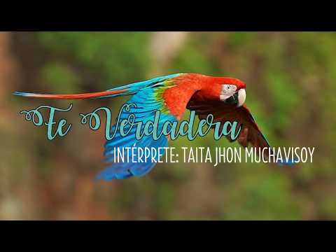 Música de Medicina: ✨ Fé Verdadera 🙏 | Taita Jhon Muchavisoy 🎶
