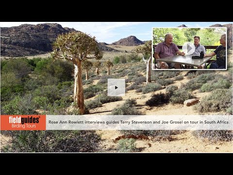 A conversation with Field Guides leaders Terry Stevenson and Joe Grosel