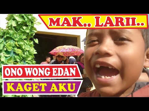 prank-di-celosia-semarang-part-2-bushman-prank-prank-manusia-pohon