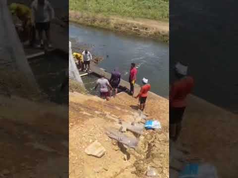 Fazenda de camarão,  Acaraú -Ceará.