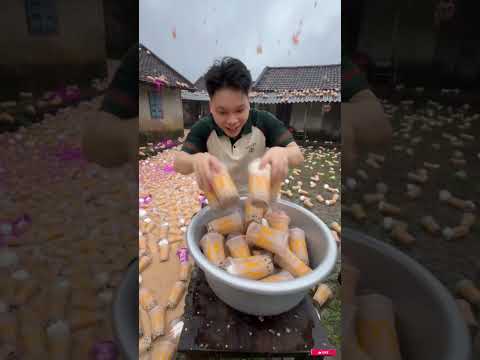 Mưa trà sữa rơi đầy nhà