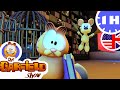 Garfield And The Witches New Selection