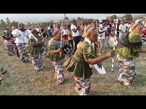 umshado ka Thabani no Nqobile Ngidi eGingindlovu