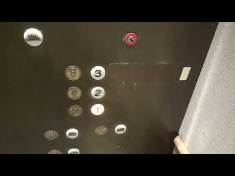 Otis Series 1 Vanity Traction Elevators at Nordstrom Menlo Park Mall Edison NJ