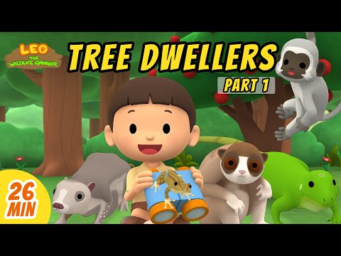 Tree Dwellers Minisode Compilation (Part 1/2) - Leo the Wildlife Ranger | Animation | For Kids