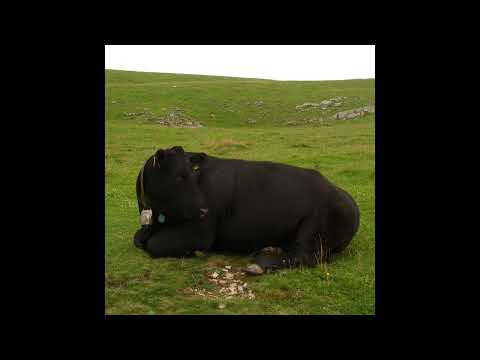 rutherford - where we ended