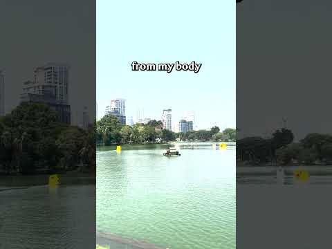 Achieving Balance for Better Productivity: Day 80 of Daily Meditation สมดุลการผลิตงาน