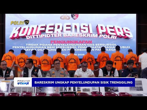DITTIPIDTER BARESKRIM POLRI BERHASIL UNGKAP PENYELUNDUPAN SISIK TRENGGILING