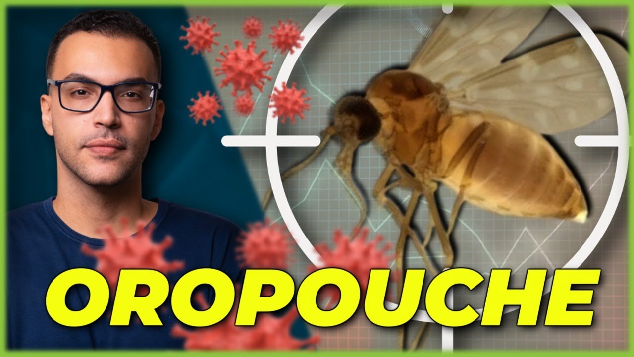 OROPOUCHE: TUDO o que você PRECISA SABER