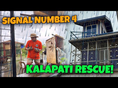 BAHAY KALAPATI KO TINALI KO NA BAKA LIPARIN NA 😱