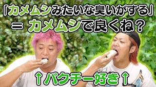 【乱獲】パクチーってカメムシで代用可能なのでは？