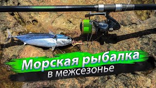 Морская рыбалка с берега форум