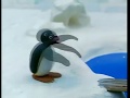 Pingu Takes Revenge