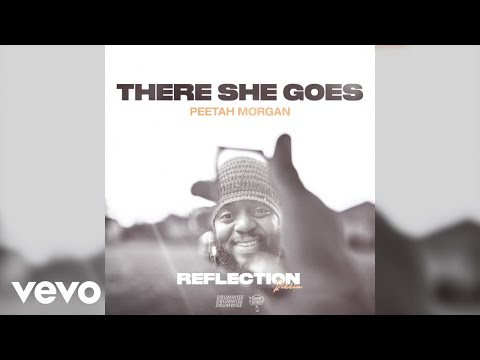 Peetah Morgan, DRUMWISE - There She Goes (Official Visualizer)