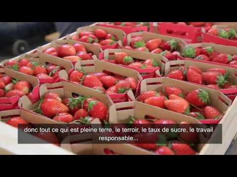 Rencontre avec Camille Poulet, productrice de fraises pour la marque "C'est qui le patron"