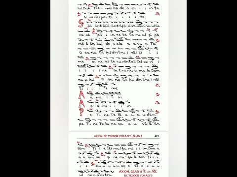 RĂSPUNSURI MARI -  glas 6 ( Ierom. Ierotei)