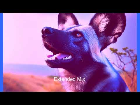 Fully -  Focus -  feat -  Sofiya  -  Nzau -  Mwanake[KimK29 Remix]