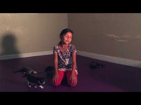 Kats Alley Episode 1