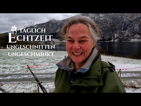 Real-time ❄️ Final sprint: potatoes 🥔 & fence, working on the farm | Slow TV My Life, daily visit