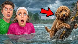 MY DOG is LOST in a MASSIVE FLOOD!