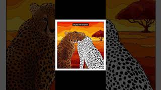Leopard 🐆 #coloringart #asmr