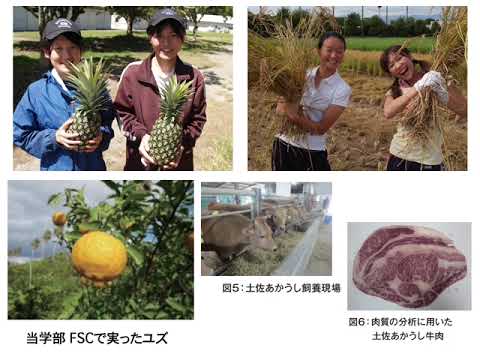 人文社会科学科 農林海洋科学部（学部紹介）学部、３学科の特徴、入試について