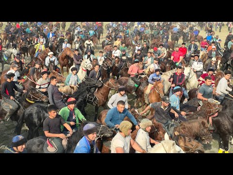 Qoʻqon 76 maydoni 01.11.2025 uloq koʻpkari toʻliq HD formatda. 