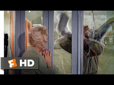 鳥たち (8/11) Movie CLIP - 電話ボックスに閉じ込められて (1963) HD (The Birds (8/11) Movie CLIP - Trapped in a Phone Booth (1963) HD)