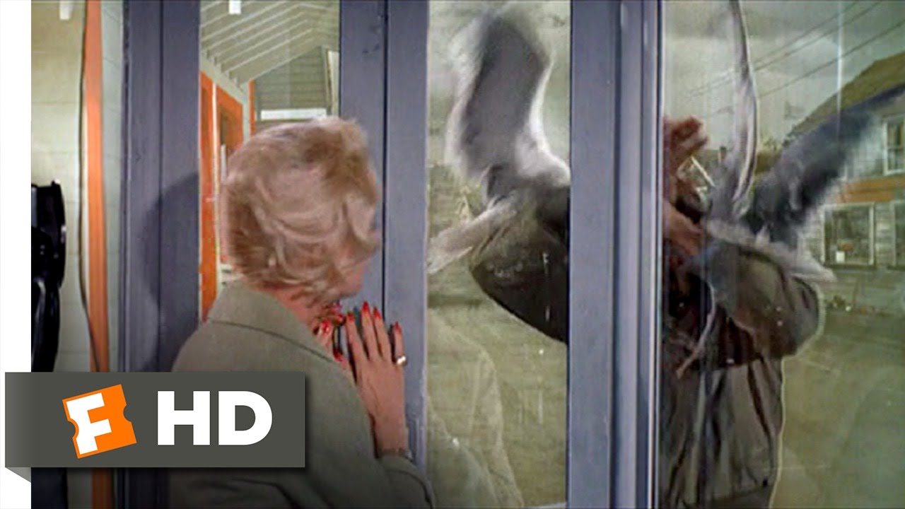 The Birds (8/11) Movie CLIP - Trapped in a Phone Booth (1963) HD - YouTube