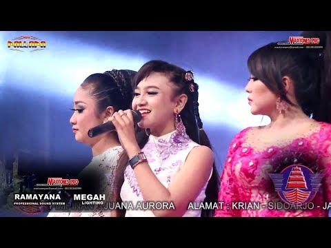 download lagu mp3 mp4 Pallapa Yang Penting Happy, download lagu Pallapa Yang Penting Happy gratis, unduh video klip Pallapa Yang Penting Happy