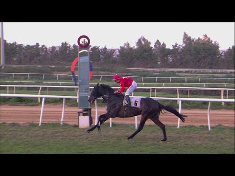 Galoppo corse del 14 Gennaio 2023