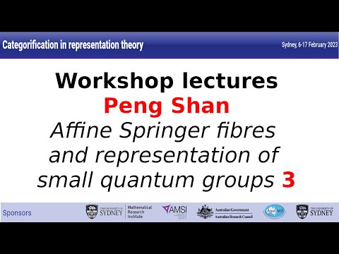 Peng Shan - Affine Springer fibres and representation of small quantum groups 3