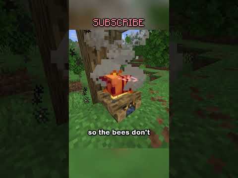 The Long Awaited Camman18 Bee Tutorial